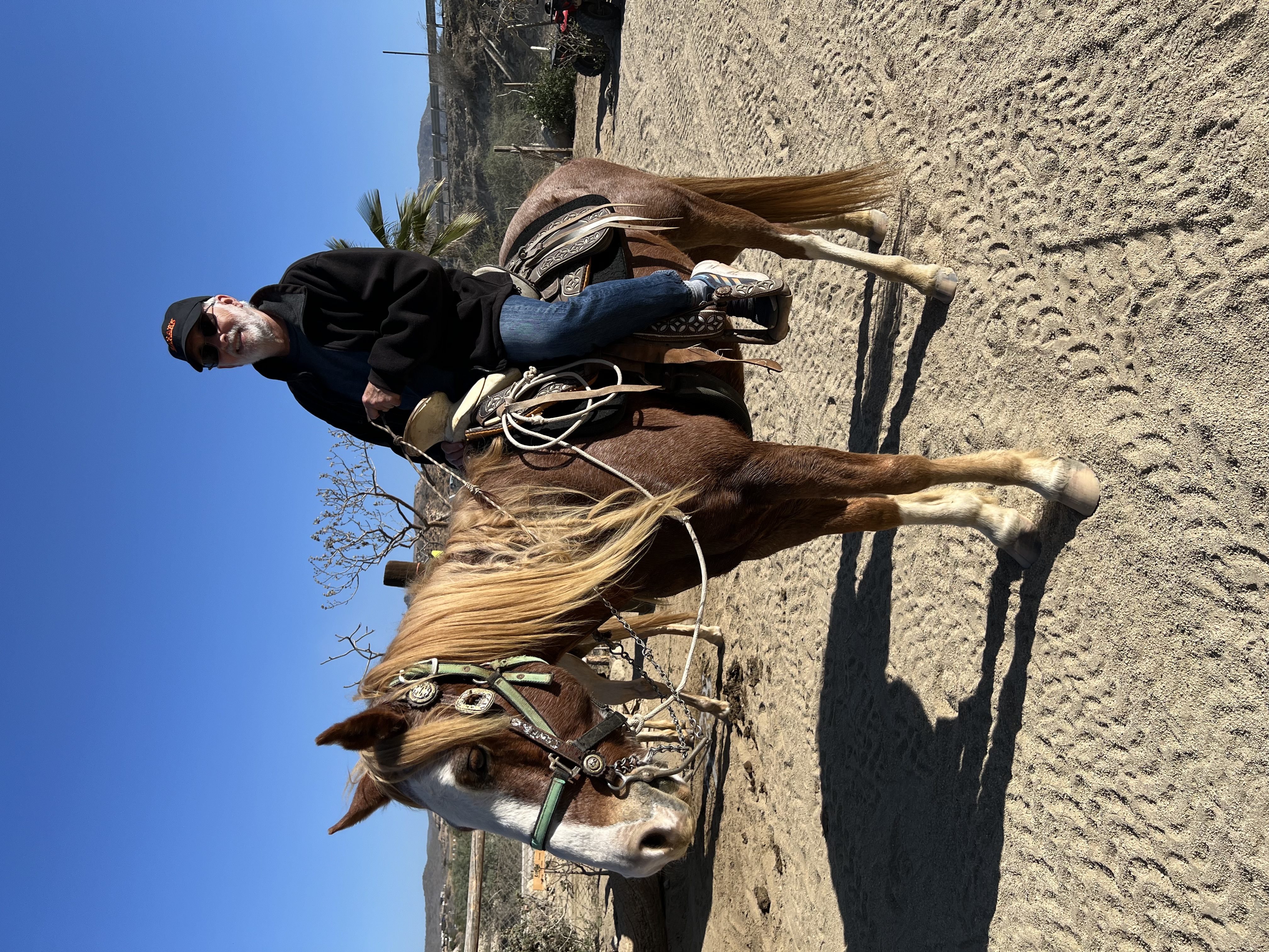 ./2024/13 - Cabo/IMG_4520.jpg